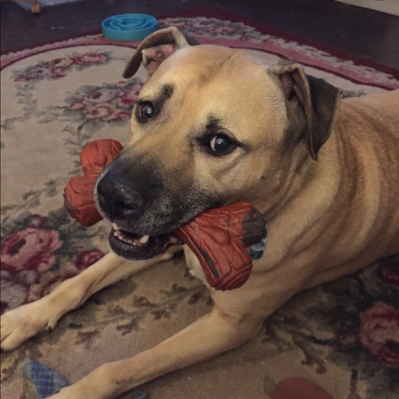 Meet your Posher, April - Picture 6 of 8